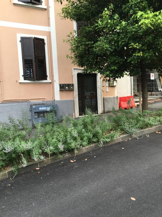 Appartamento I Sentieri 23 Riva del Garda Luaran gambar